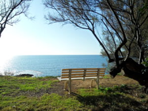 Bank_Park_Meerblick